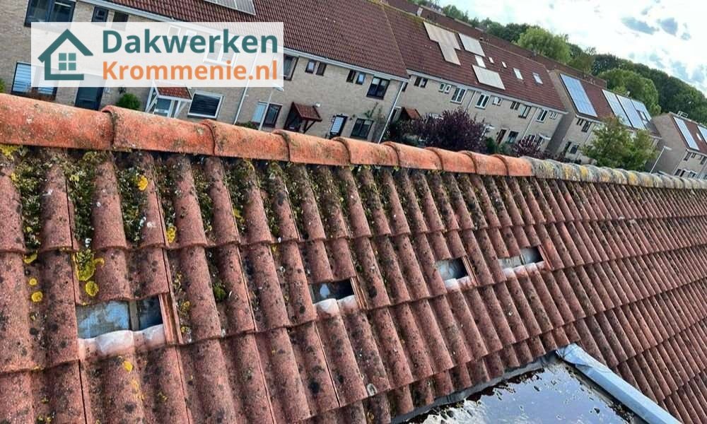 Een dakrenovatie bij oud pannendak Een dakrenovatie bij oud pannendak in Krommenie